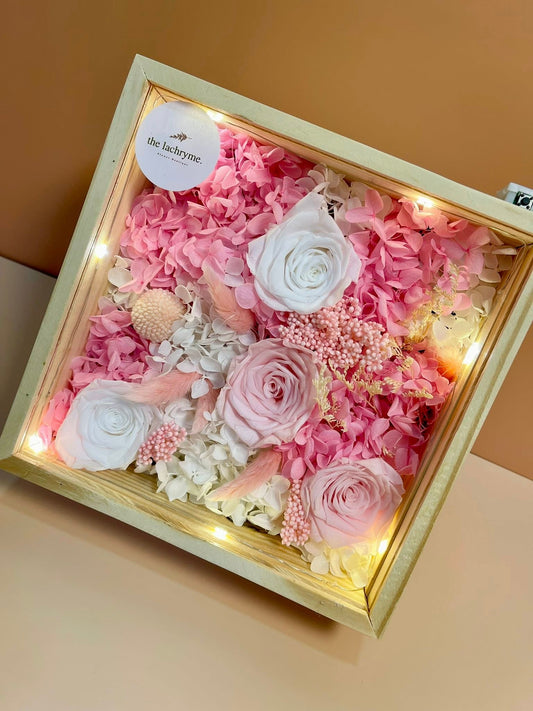 Canus in Pink | Boxed Blooms | Grande