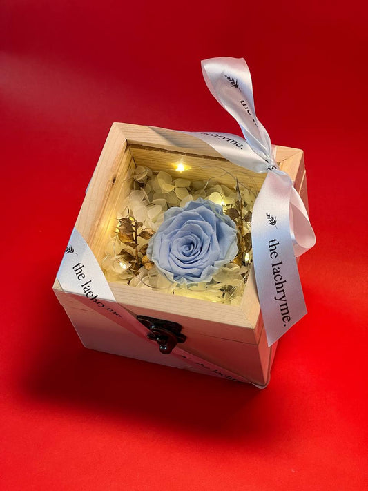 Fleur in Light Blue | Boxed Blooms | Small