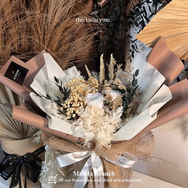 Latte | Preserved Blooms | Petite