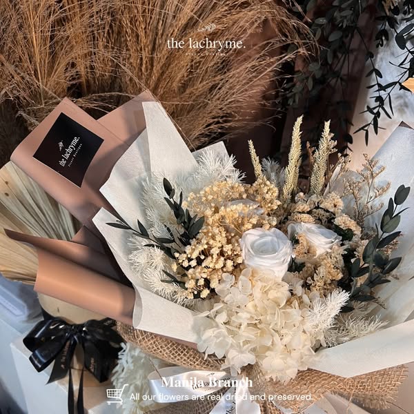 Latte | Preserved Blooms | Petite