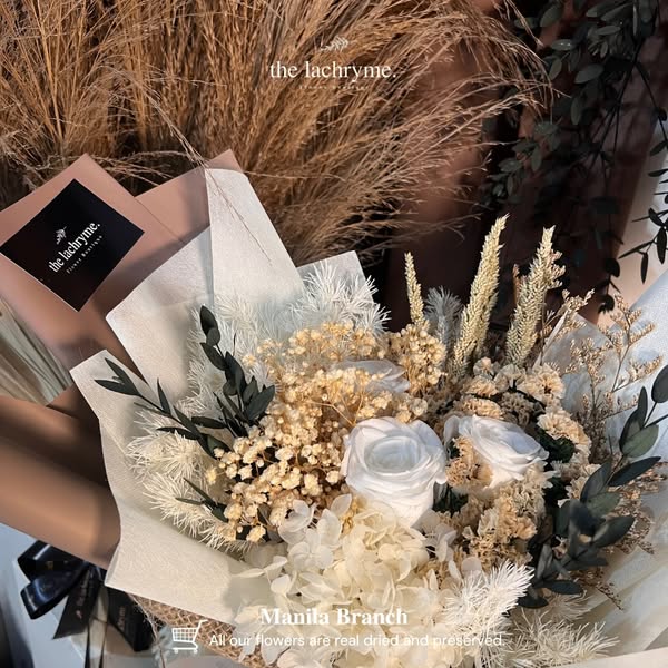 Latte | Preserved Blooms | Petite