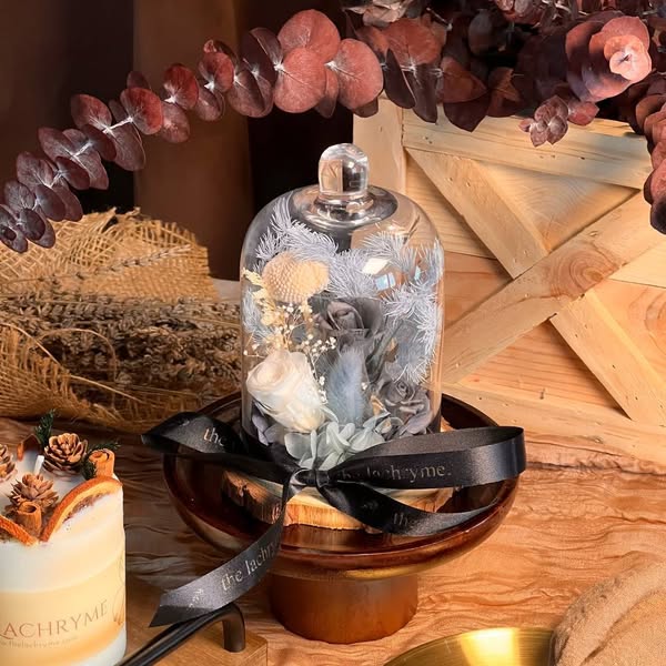 Noah (Dome + Candle)