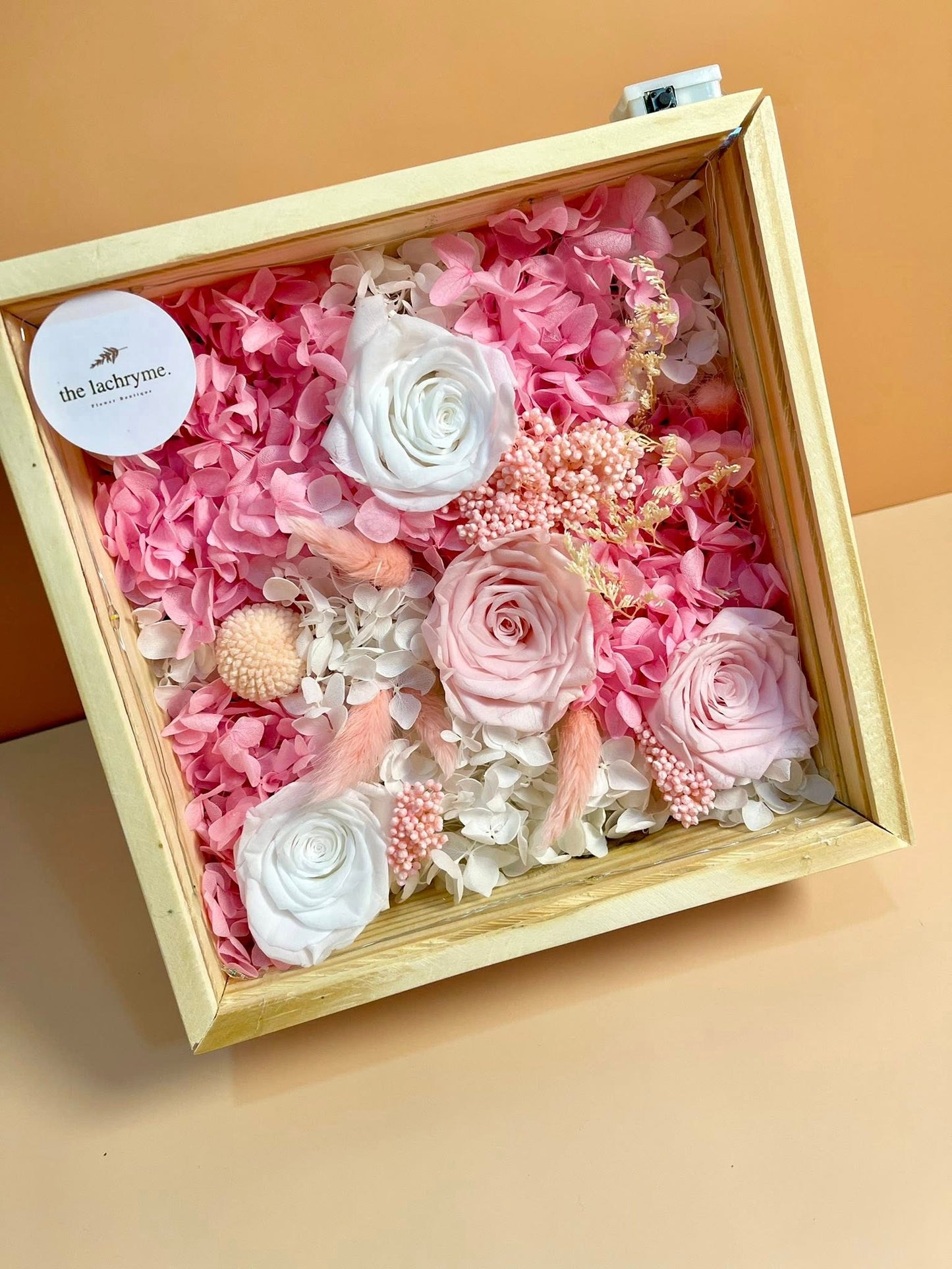 Canus in Pink | Boxed Blooms | Grande