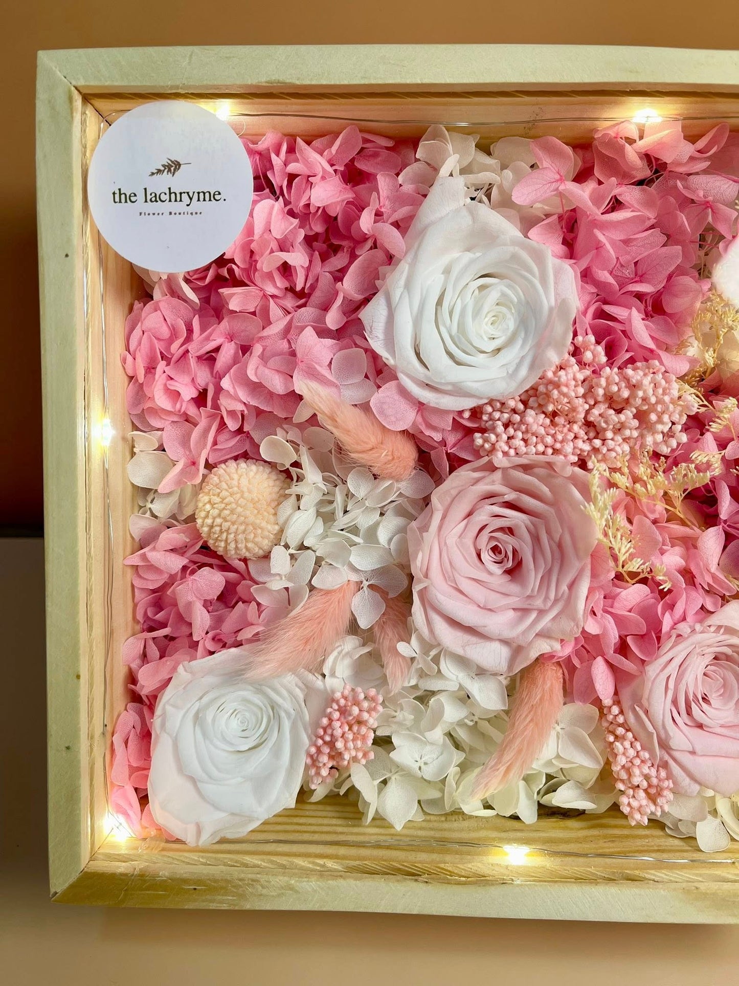 Canus in Pink | Boxed Blooms | Grande