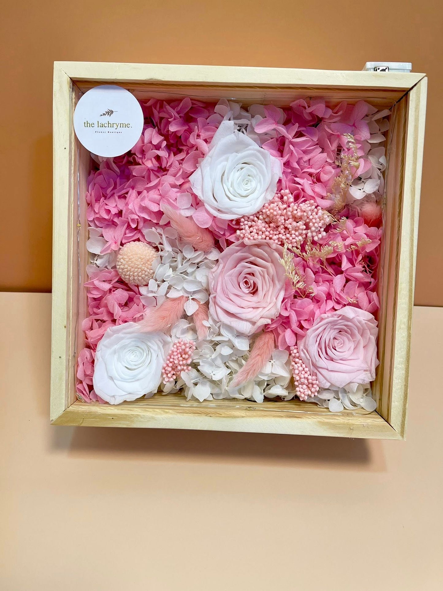 Canus in Pink | Boxed Blooms | Grande