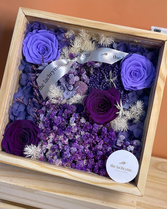 Purpura | Boxed Blooms | Grande