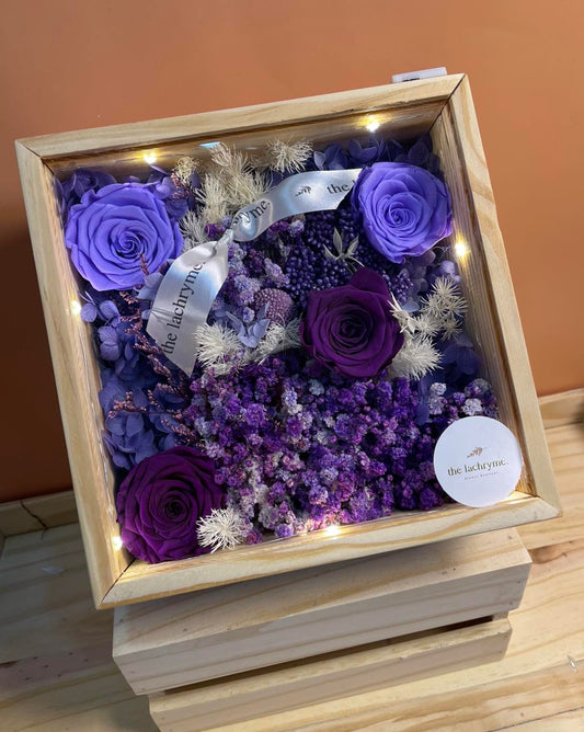 Purpura | Boxed Blooms | Grande