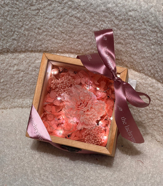 Carnation | Blooms in Box | Small