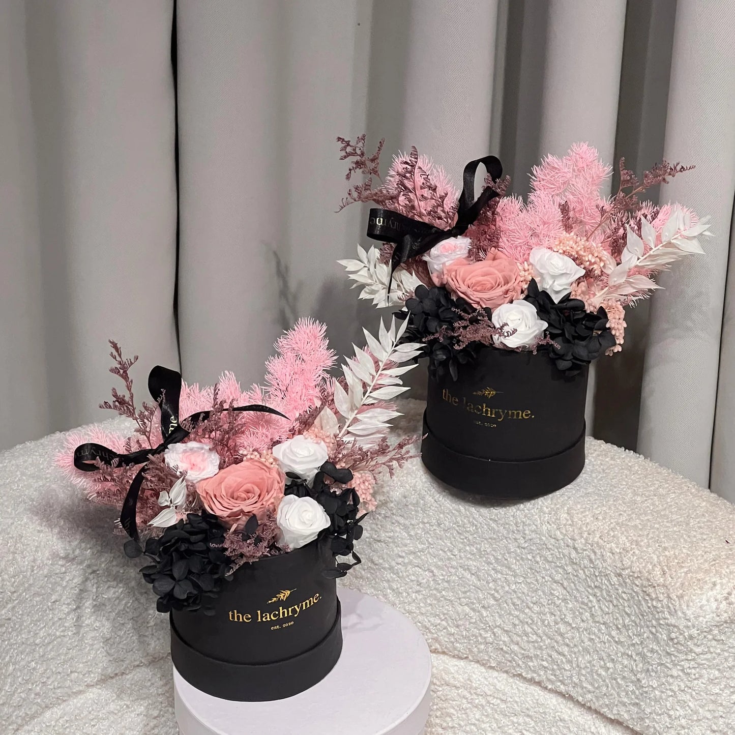 Pearl | Preserved Blooms | Le Fleur