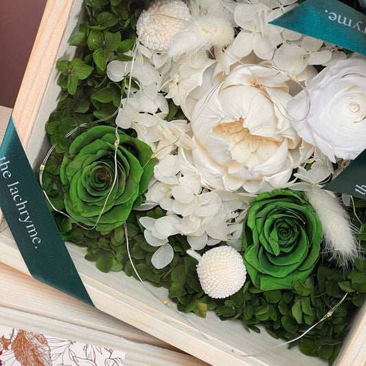 Nova | Boxed Blooms | Grande