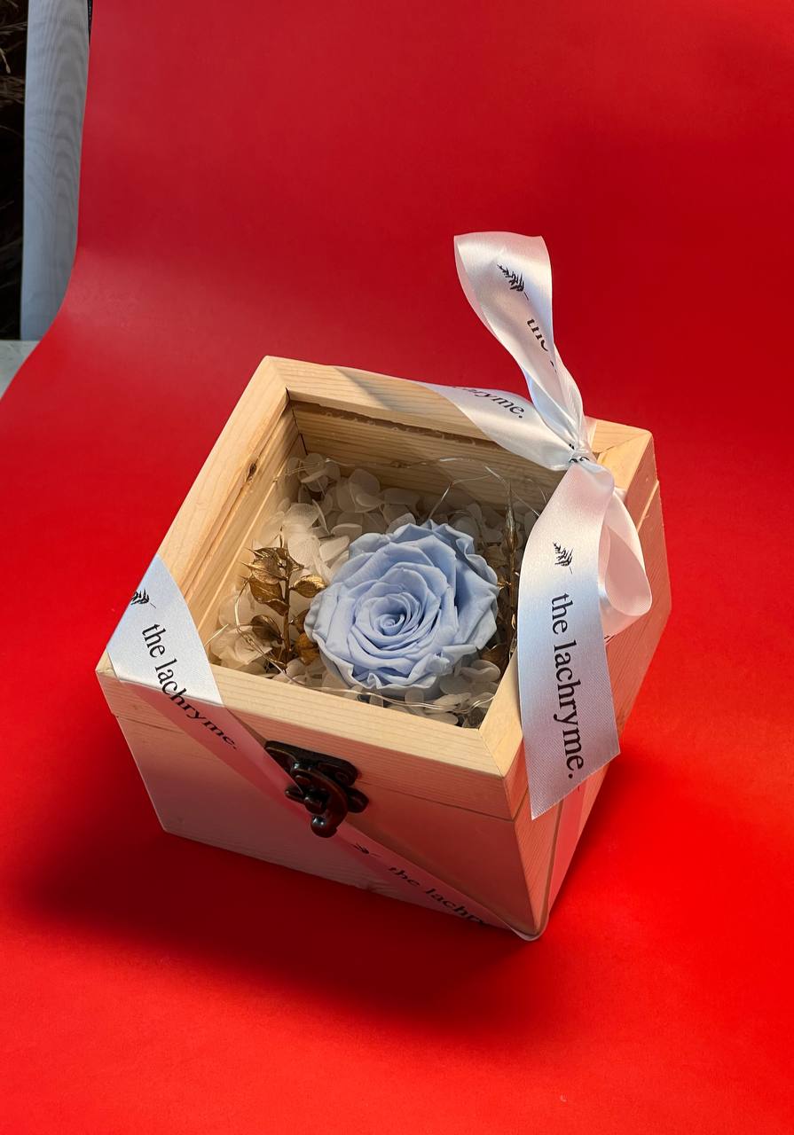 Fleur in Light Blue | Boxed Blooms | Small