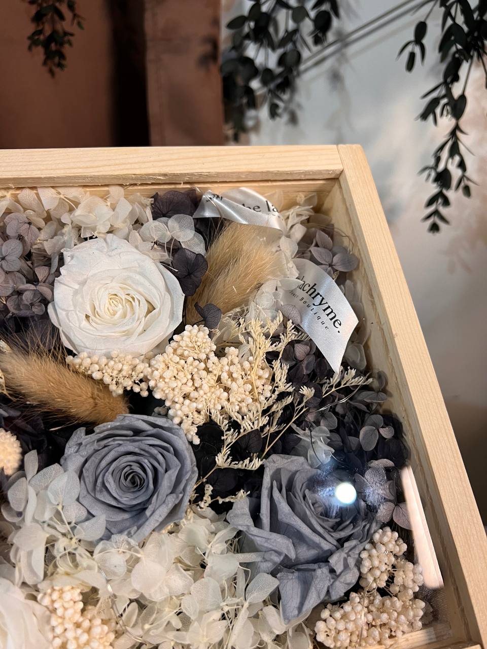 Canus | Boxed Blooms | Grande