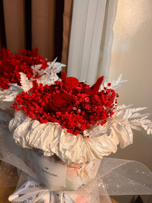 Stella | Preserved Blooms | Round Blooms in Grand